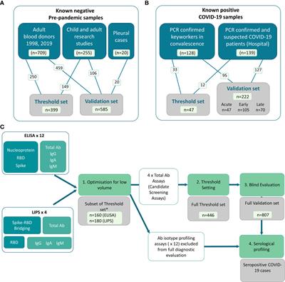 Development and evaluation of low-volume tests to detect and characterize antibodies to SARS-CoV-2